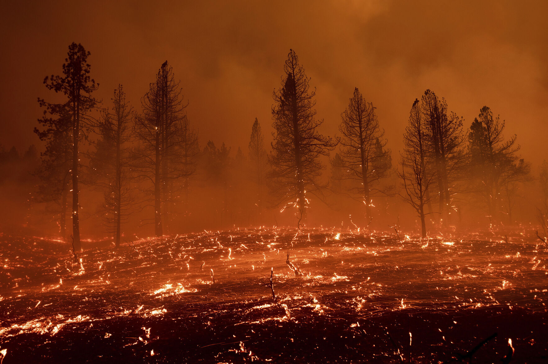 California Wildfires